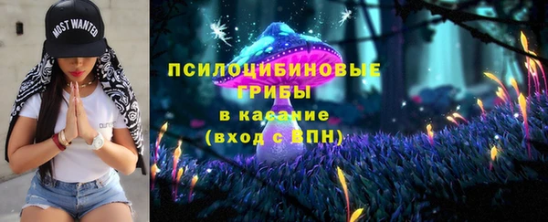 спиды Елизово